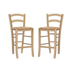 Set of 2 Emilo Counter Height Barstools - Linon