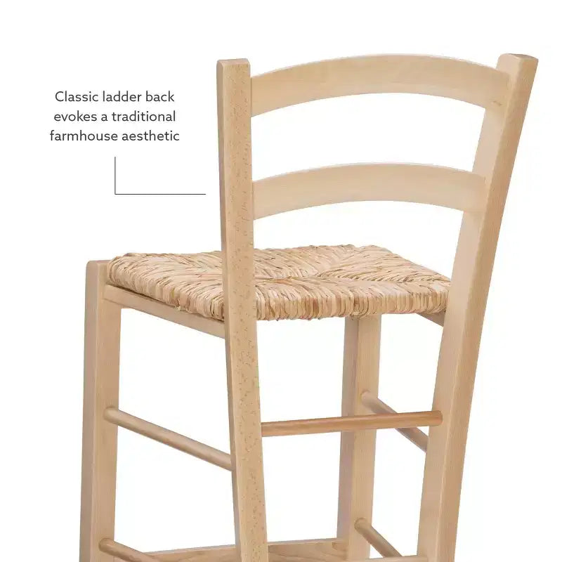 Set of 2 Emilo Counter Height Barstools - Linon
